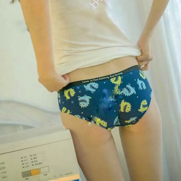 Ladies Dino Panties