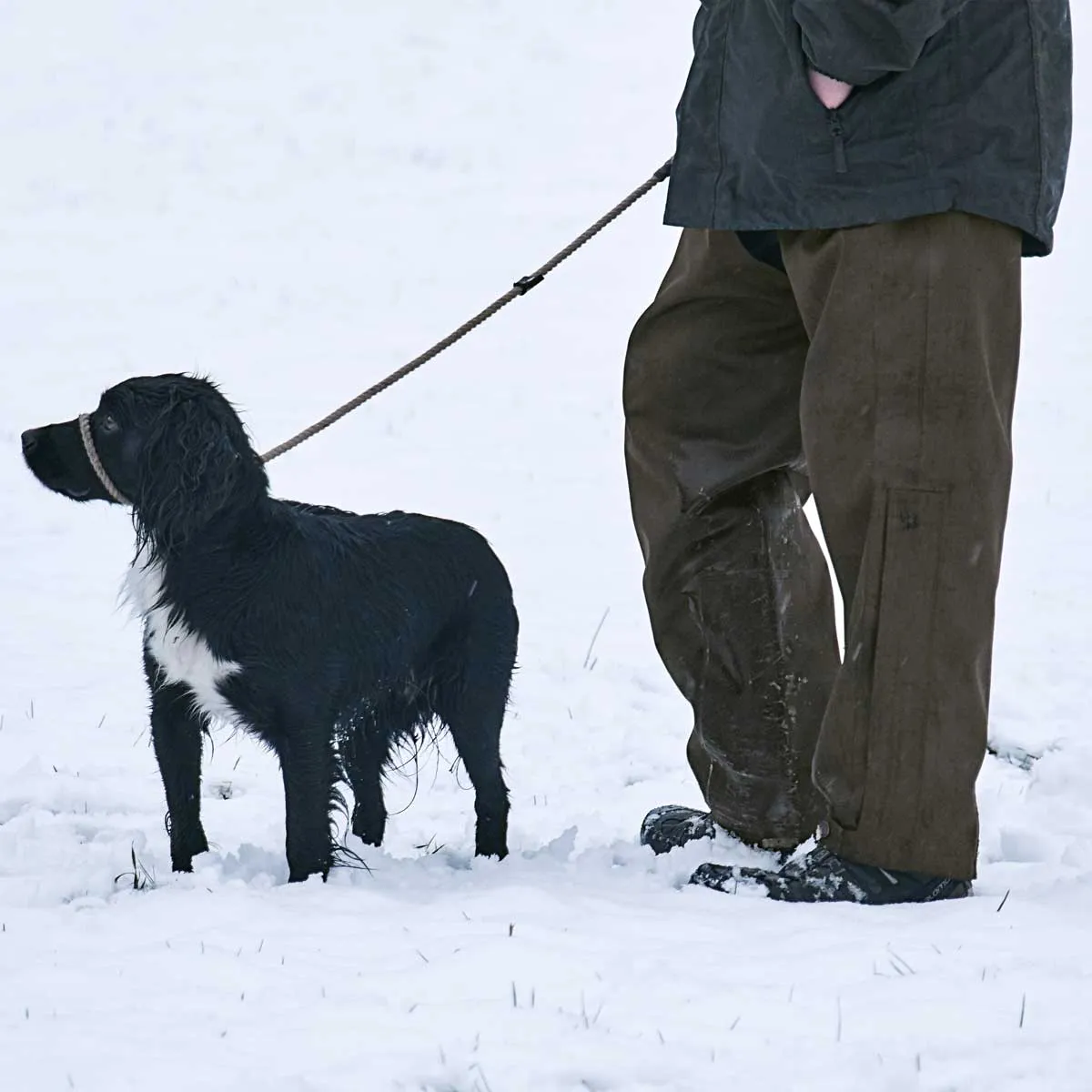 Seeland Buckthorn Overtrousers