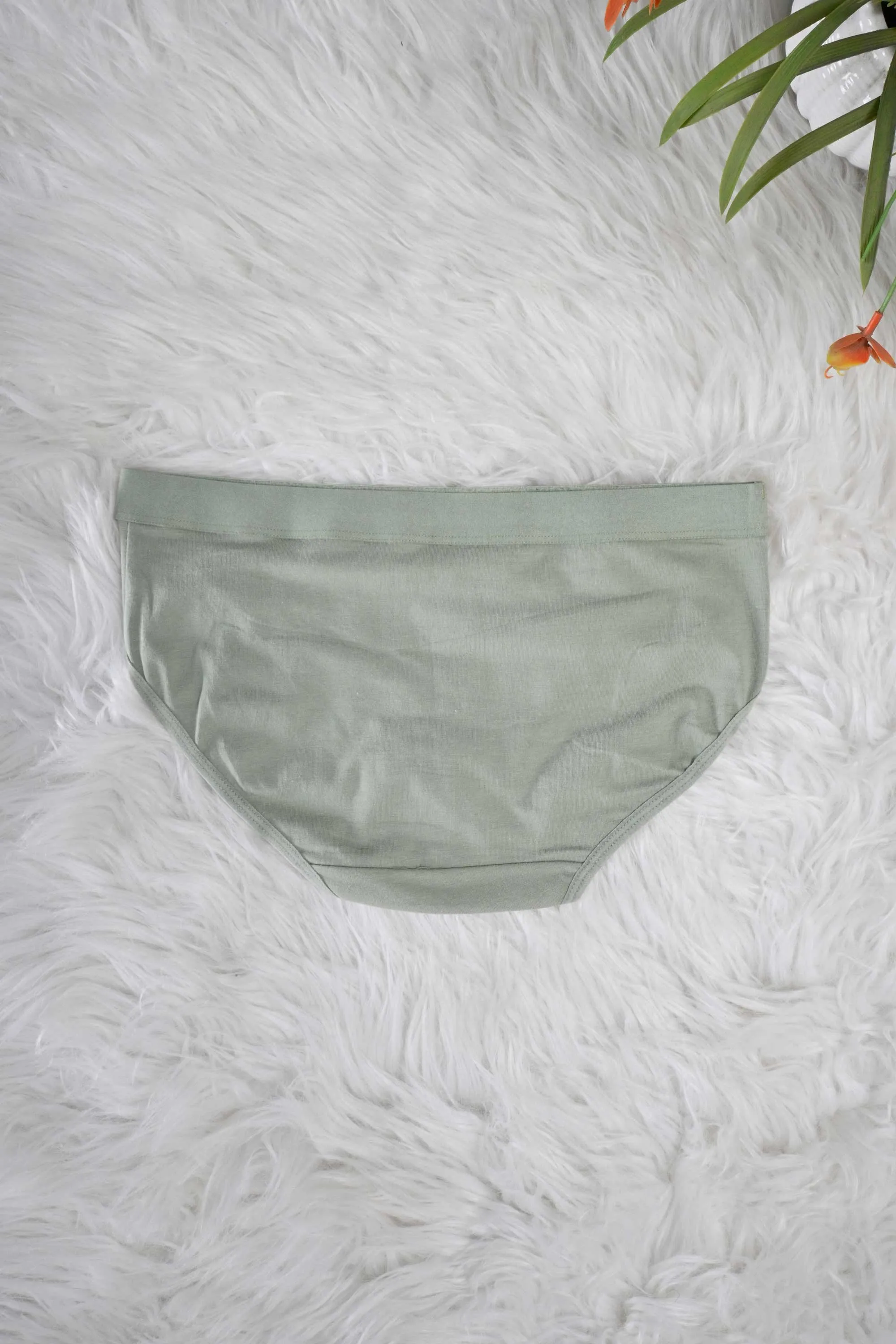 Women's Leak Protection Underwear Panties