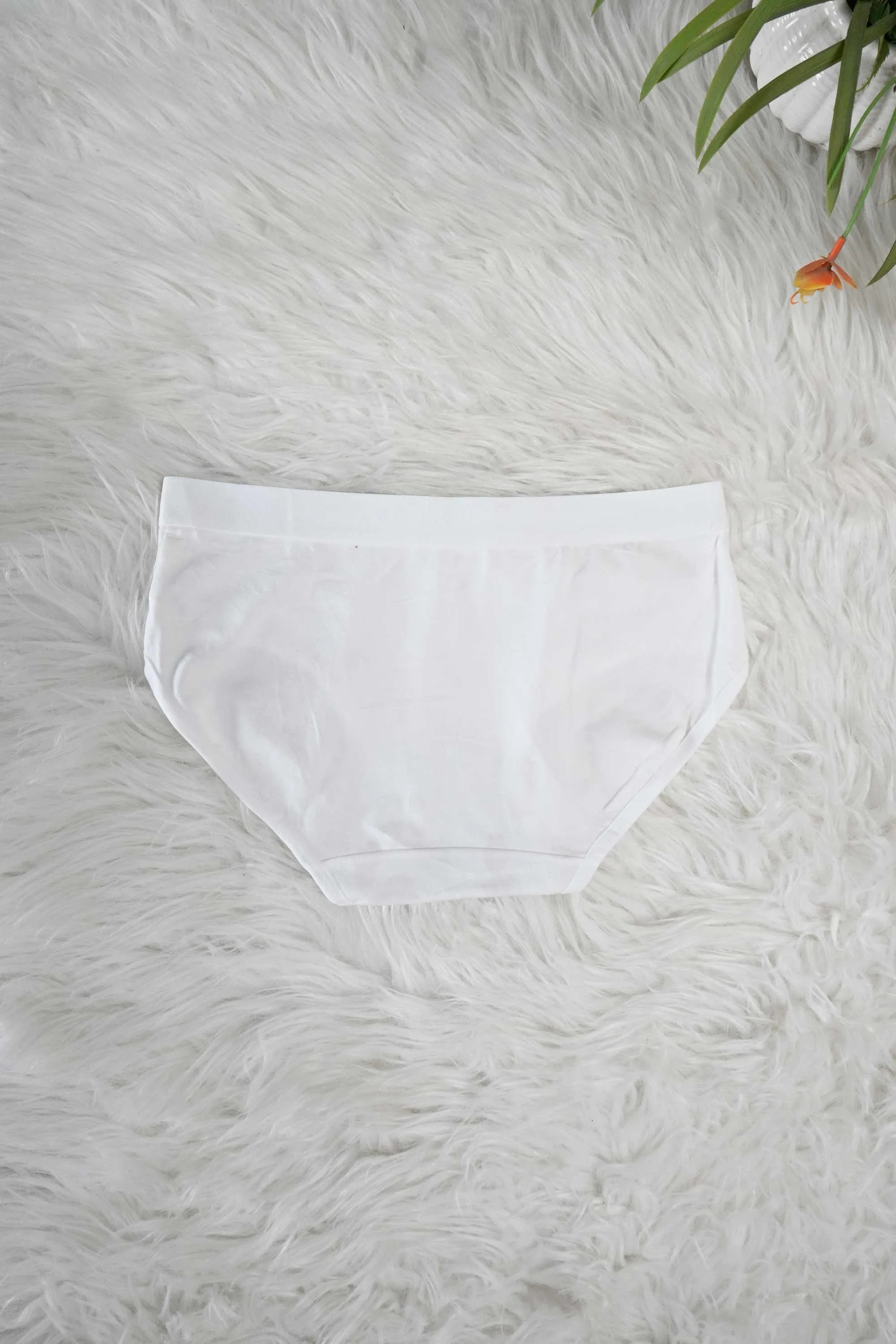 Women's Leak Protection Underwear Panties