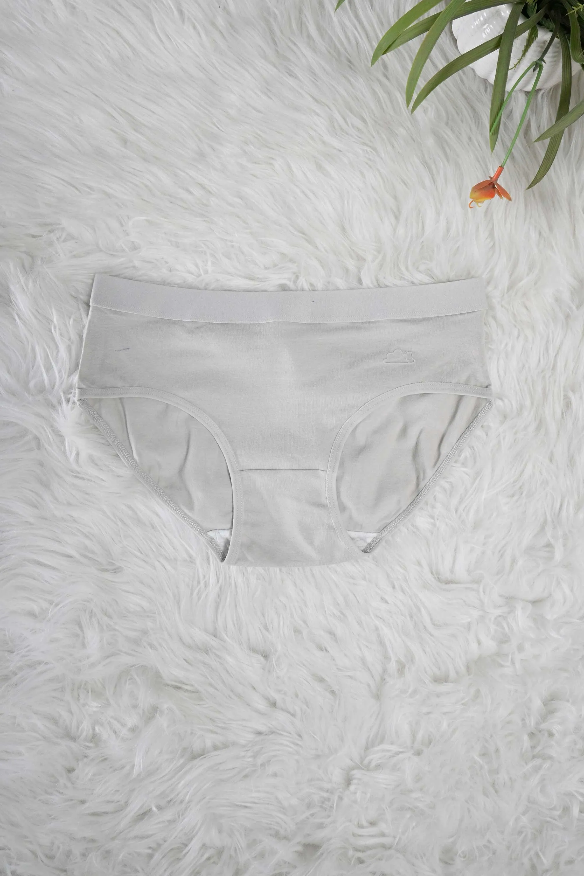 Women's Leak Protection Underwear Panties