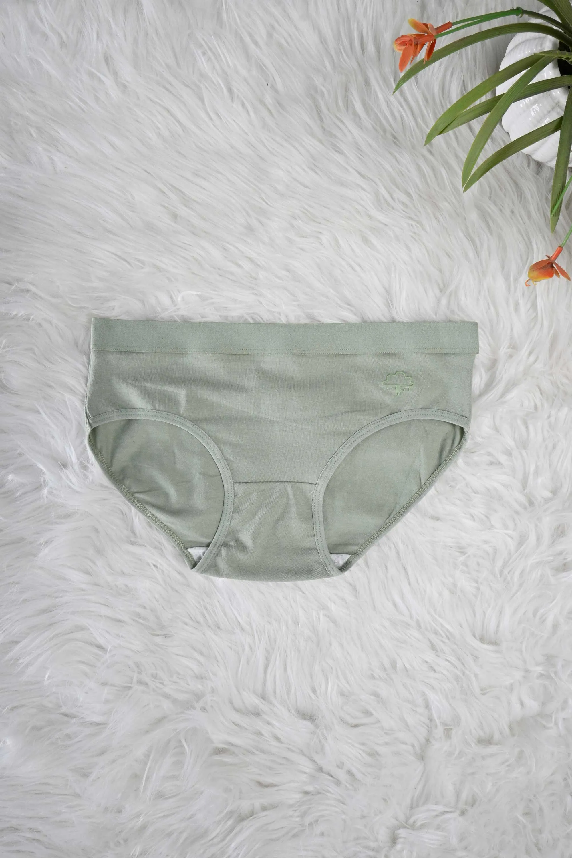 Women's Leak Protection Underwear Panties