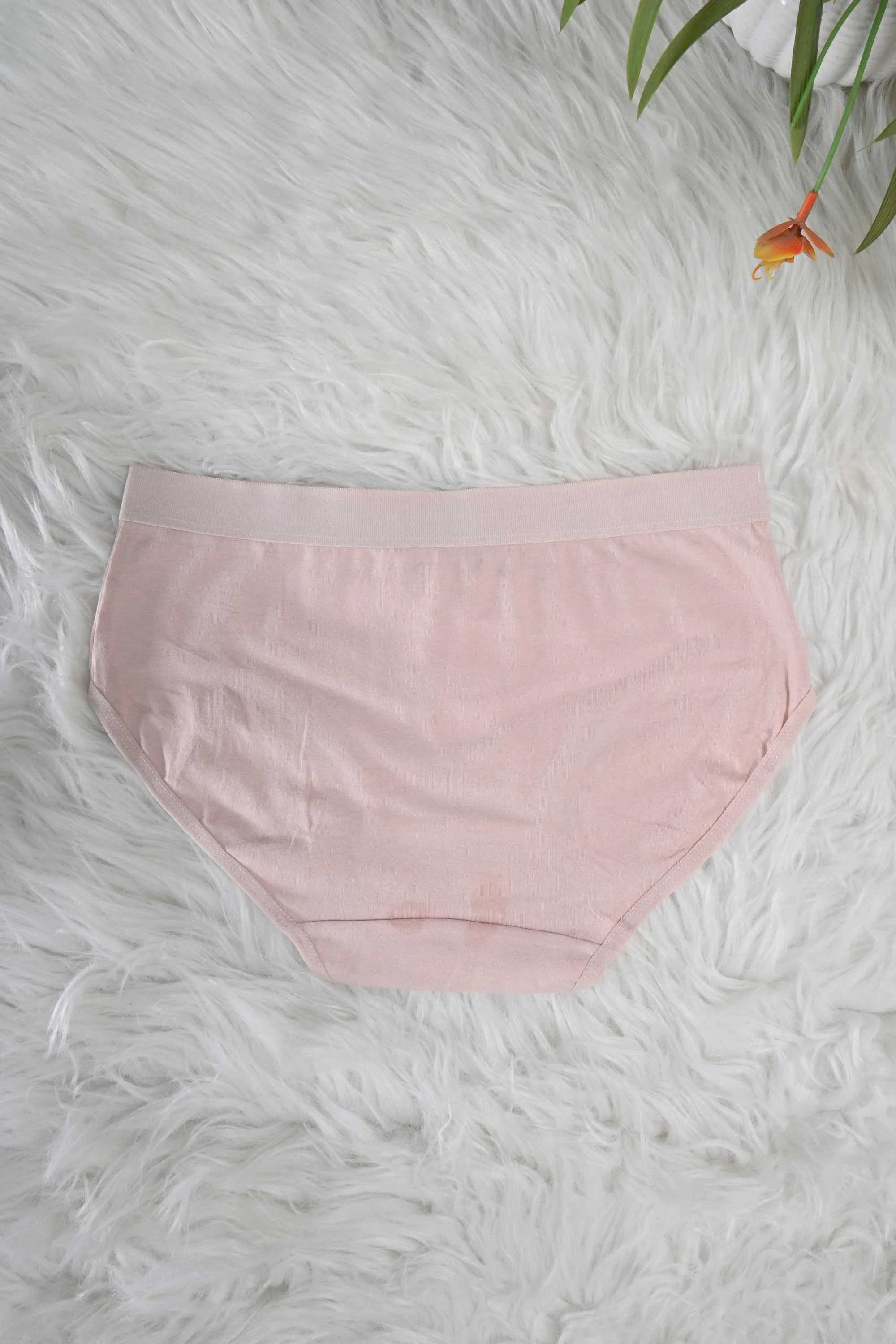 Women's Leak Protection Underwear Panties