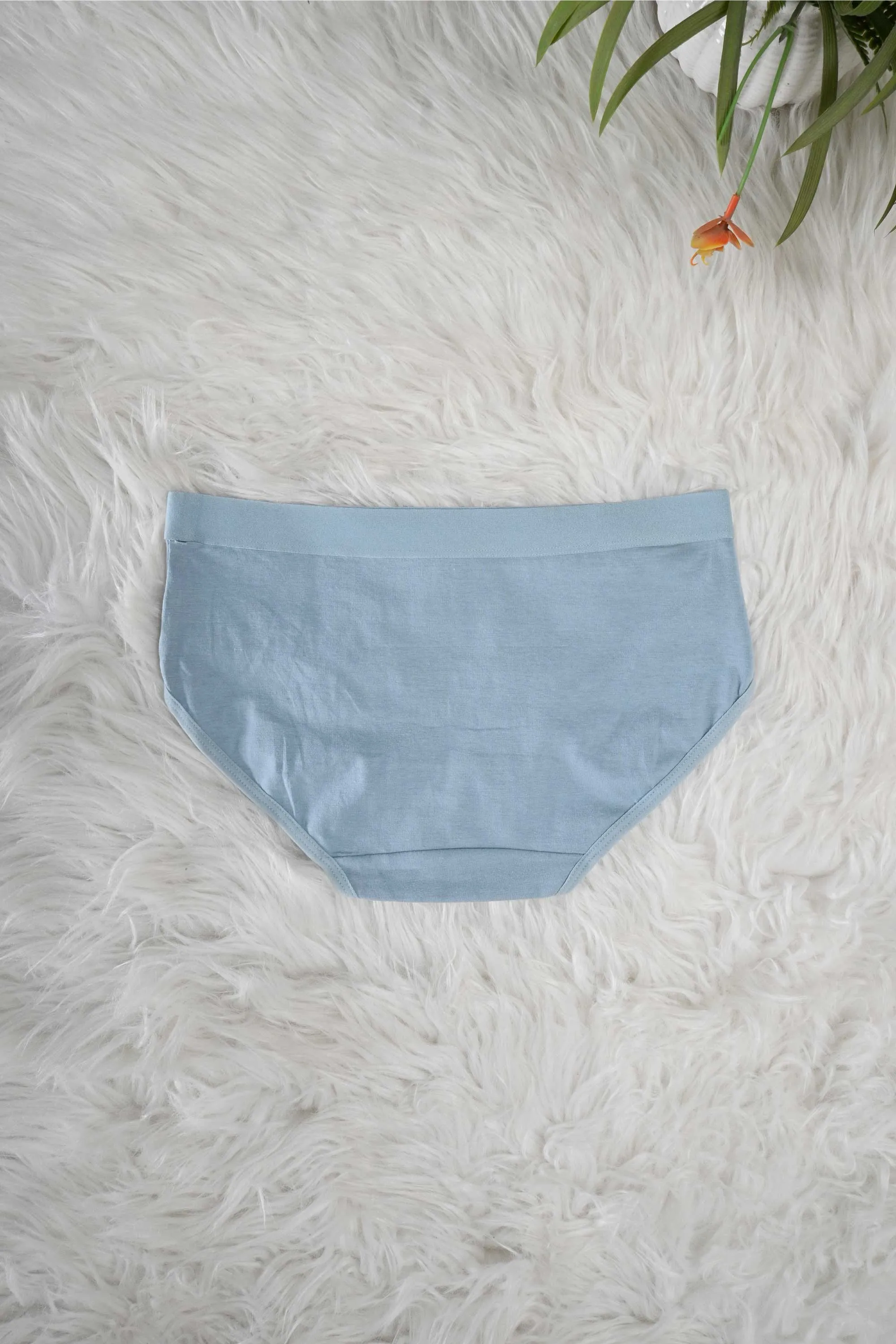 Women's Leak Protection Underwear Panties