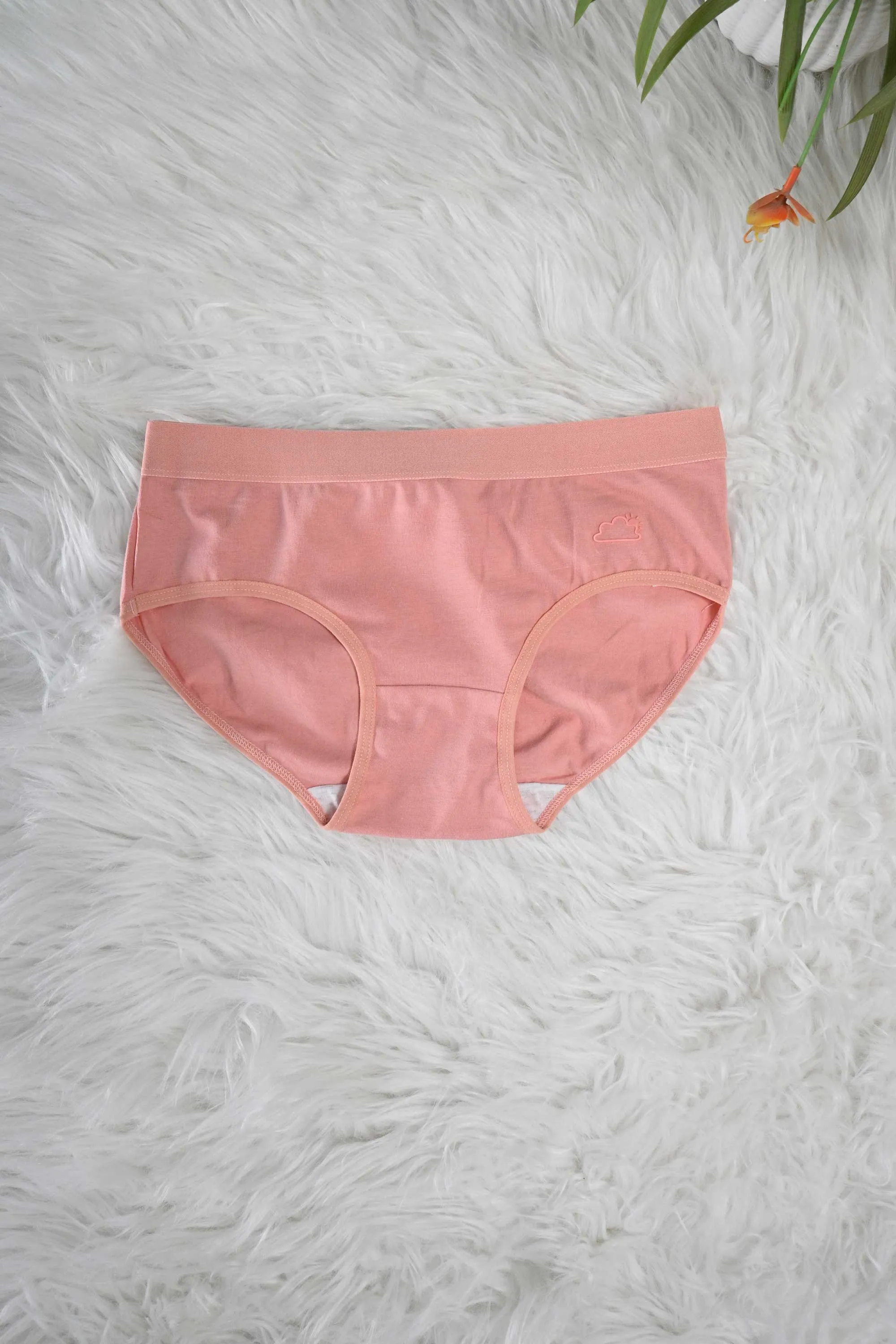 Women's Leak Protection Underwear Panties