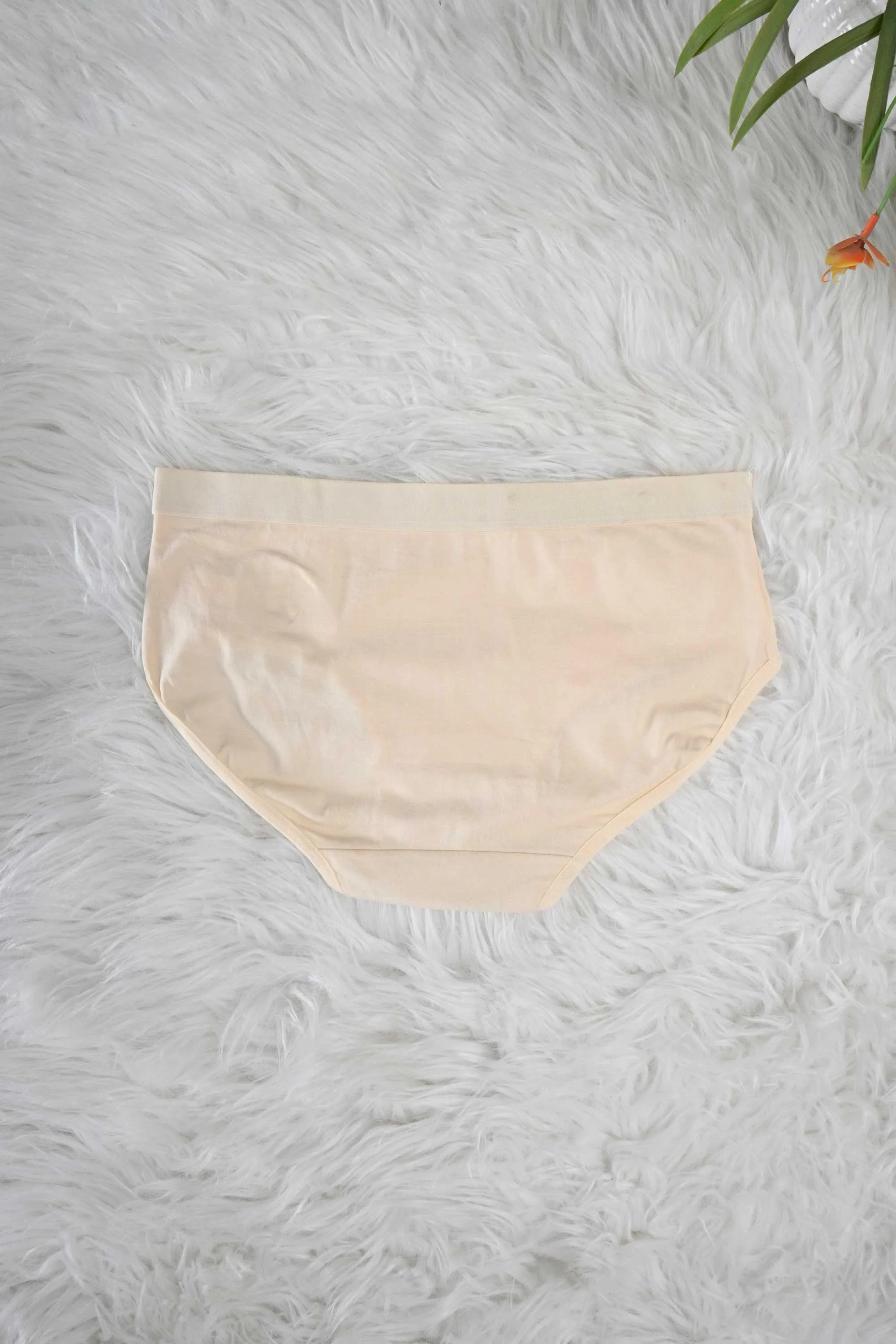 Women's Leak Protection Underwear Panties